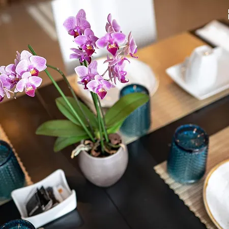 Santo Thyrso 酒店 圣托·蒂尔索